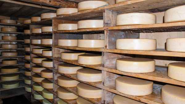 Cheese Cellar Blümlisalp